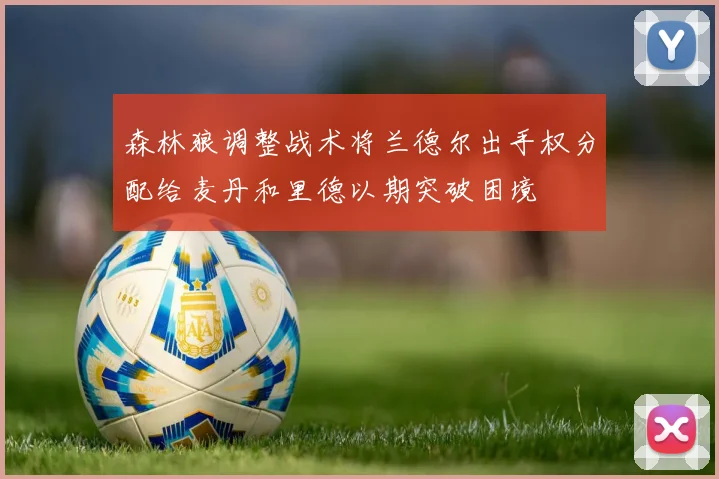 森林狼调整战术将兰德尔出手权分配给麦丹和里德以期突破困境